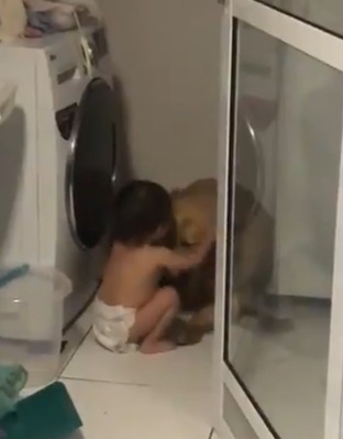 Heartwarming Home Video Captures Toddler Comforting Terrified Dog During Thunderstorm