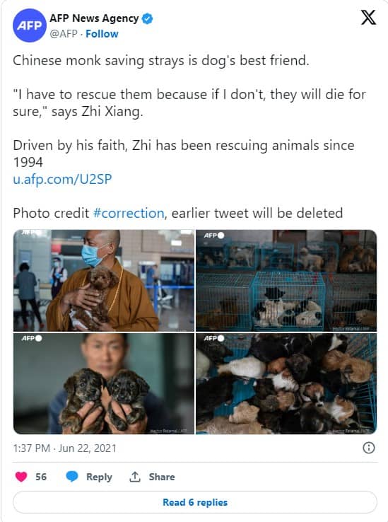Zhi rescues animals